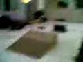 videos de DDR racing electric xtm jumping