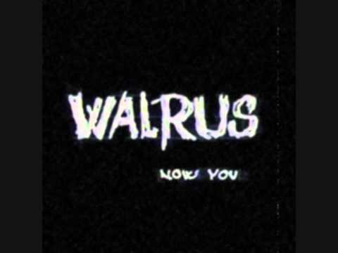 Youtube Video DUpZstCYemk