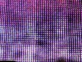 los piojos bicho de ciudad quilmes 2008