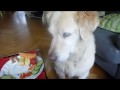 Weight Watcher`s day..A day without meat