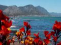 Eco Travel Africa - YouTube