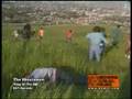 BVM-TV on KDOC 56.3 DTV 12 Noon Seg#1 7/10/2008