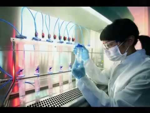 how to isolate enterobacter aerogenes