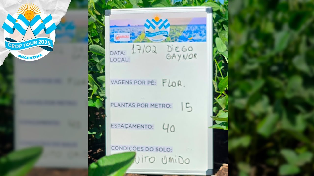 Chuvas precisam continuar chegando à província de Buenos Aires para recuperação das lavouras