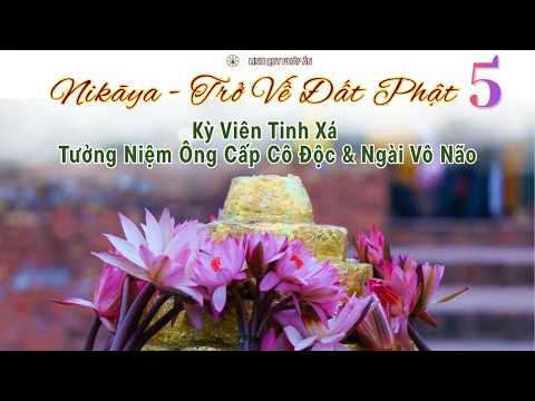 NIKAYA Trở Về Đất Phật 5 - Kỳ Viên Tinh Xá -Tưởng Niệm Ông Cấp Cô Độc & Ngài Vô Não