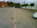 videos de Burnout du magreloo!!!