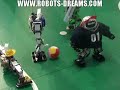 AKIBA ROBOT: KondoCup Robot Soccer - Open Class