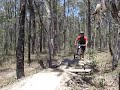 Danny calls tree