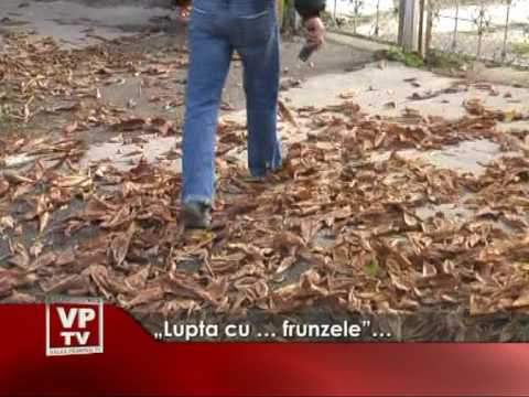 „Lupta cu … frunzele”…