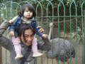 Nur Syafika (FIKA) Nur Syafika (FIKA)