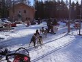 Dog Sled Waiting To Launch 1