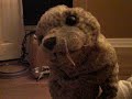seal news
