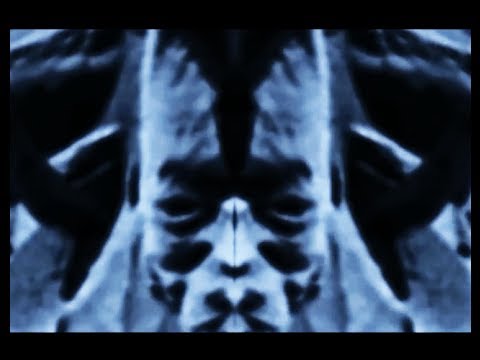 UFO - Is it possible that there could be an entirely different history of human spaceflight than what the public generally believes? This presentation initially co...
