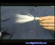 The Bucktail