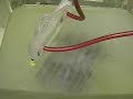Hydrogen Tap (MUST SEE Video) #83R