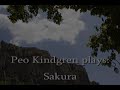 "Sakura"