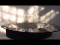 HD-Exposition of the Aerodynamic Properties of Natural Detritus http://t.co/W2lx2kCX