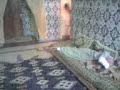 tsarfi9