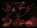 DMX - No love for me