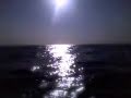 The Beach