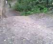 Mint Jump At Bramhall Park