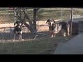 AVCHD%20%28.m2ts%29%20Files%20Converted%20To%20WMV