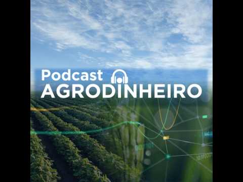 #544 AgroDinheiro: Soja cai com desabamento do petróleo