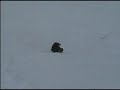 Alejandro Sledding Christmas \