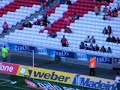 adepto maluco benfica