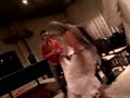 striptease-del-puto-amo-del-dinero.html