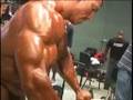 Tampa-Bay-Pro-Bodybu