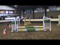 Haflinger Doerak aan het springen