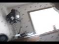 videos de floating  around my house