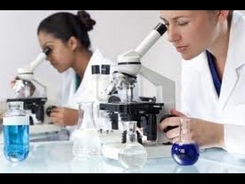 how to treat wbc in urine