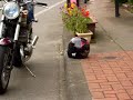 Kawasaki H2　豊中　中国道　高速　出口