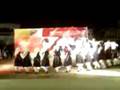 videos de zonaradikos