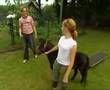 Bekijk video