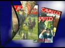 DVD Cavallo Mania - Cavallo Magazine