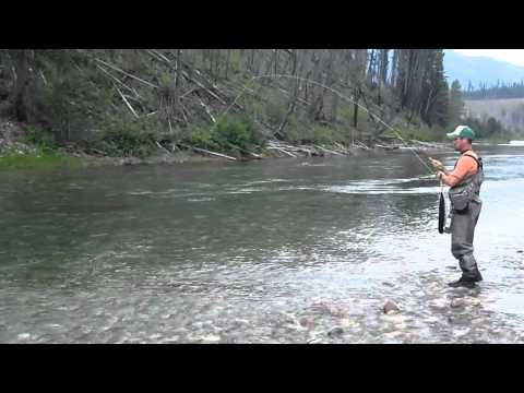 Fly Fishing Native Westslope Cutthroat Trout