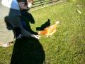 videos de sadistic chick