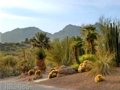 9835 E Morning Star Dr, Tucson, AZ 85749-9258