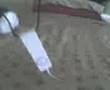 The iPod In Action