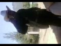 Don%20cundo%20mix[1]