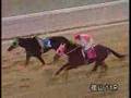 福山競馬　落馬