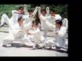 wudangkungfu Master ChenShixing