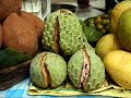 el salvador. algunas fotos del bello el salvador!!