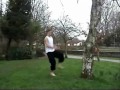 Piptrix flatland video