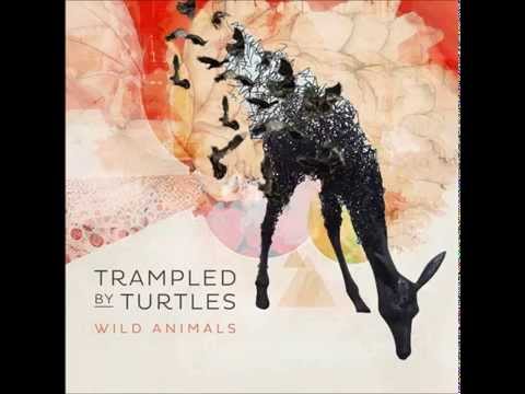 Trampled by Turtles - "Are You Behind the Shining Star?" 