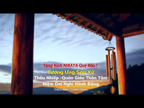 Tạng Kinh NIKAYA Quý Báu!Tương Ưng Sáu Xứ 4-Thâu Nhiếp -Quản Giáo Thân Tâm -Niệm Oai Nghi Hành Động