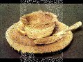 meret oppenheim meret oppenheim